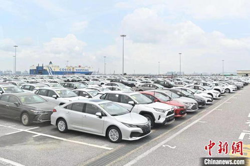 广州打造全国最大汽车物流枢纽岛 年通过能力超200万辆